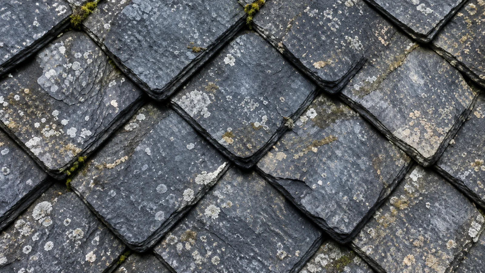 Ardoises encrassées par les lichens et la pollution